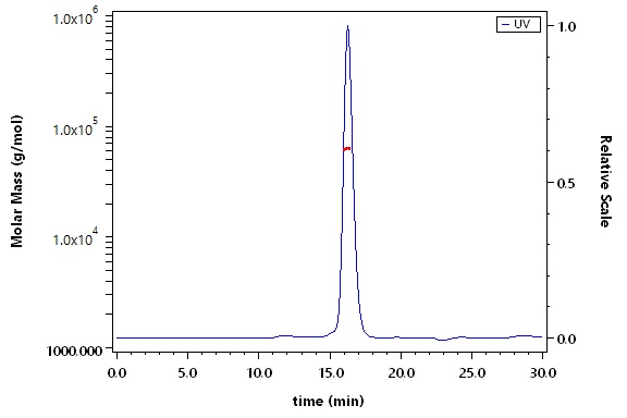 Hyaluronidase PH-20 SEC-MALS