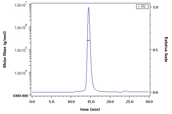 Postfusion glycoprotein B/Postfusion gB (HSV) SEC-MALS