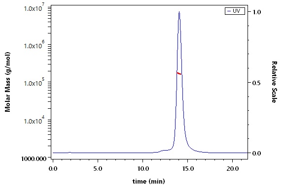 Postfusion glycoprotein F0/post-F protein (NiV) SEC-MALS