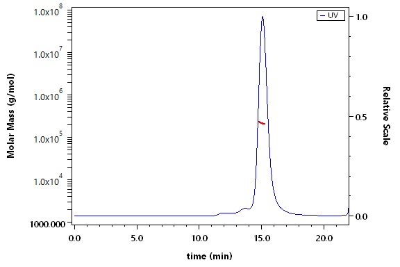 Prefusion glycoprotein F0/pre-F protein (RSV) SEC-MALS