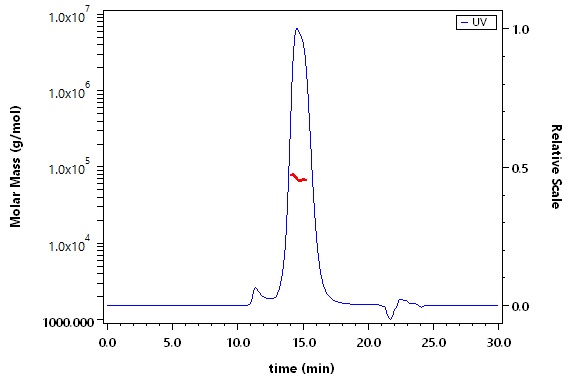 Glycoprotein C/Gc protein (SFTSV) SEC-MALS