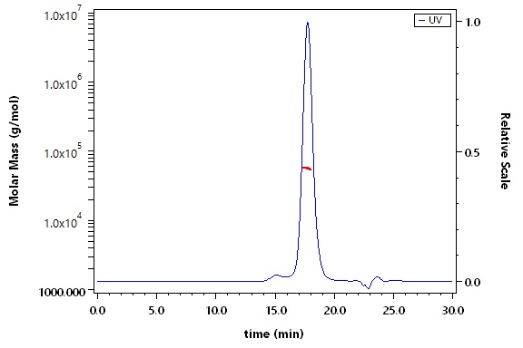 Glycoprotein C/Gc protein (HTNV) SEC-MALS