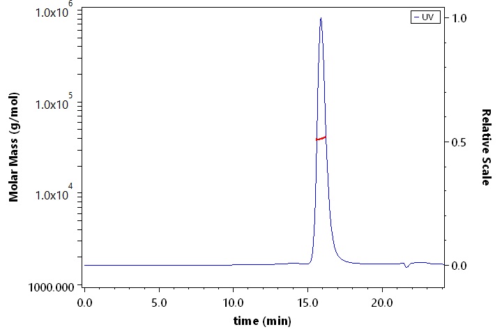 PTP1B SEC-MALS