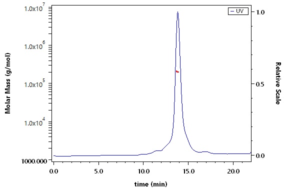 Glycoprotein/G Protein (RABV) SEC-MALS