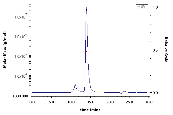 その他 human #2 Human ROR2 / NTRKR2 Protein, Fc Tag (MALS verified) | ACROBiosystems