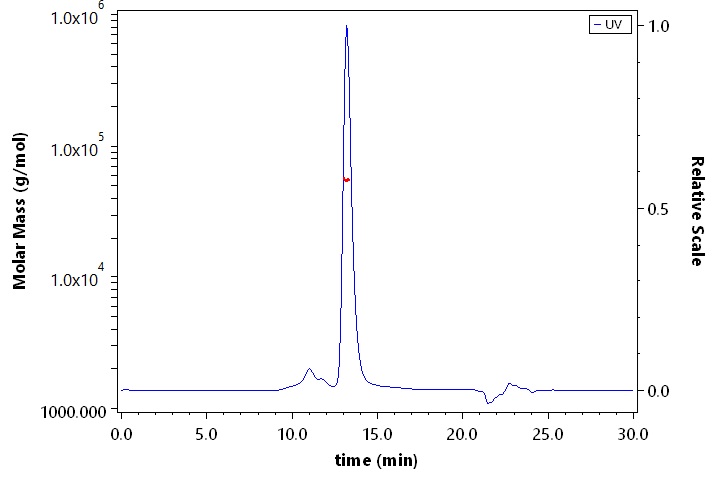 Protein L SEC-MALS