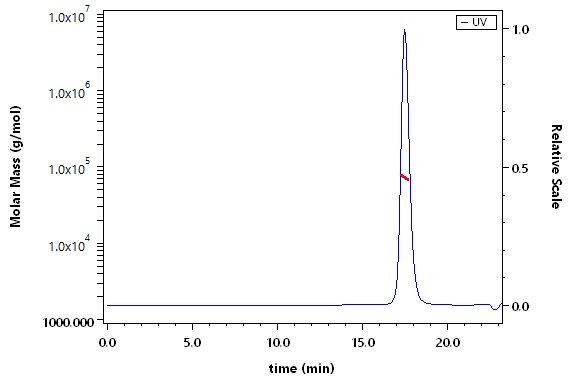 Serum Albumin SEC-MALS