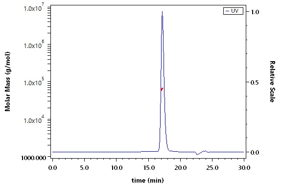 Serum Albumin SEC-MALS