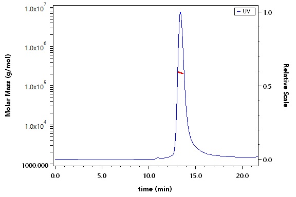 Fusion glycoprotein F0/F protein (MuV) SEC-MALS