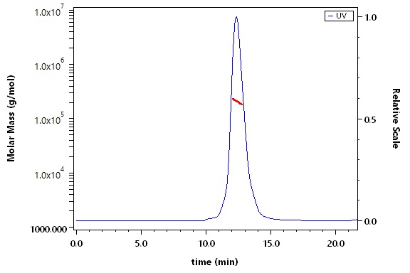 Postfusion glycoprotein F0/post-F protein (HMPV) SEC-MALS