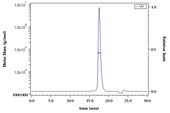 Serum Albumin SEC-MALS