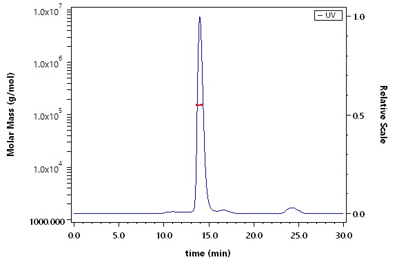 Siglec-10 SEC-MALS