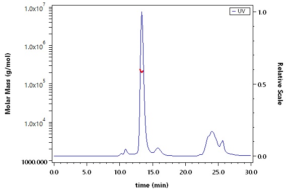 Siglec-10 SEC-MALS