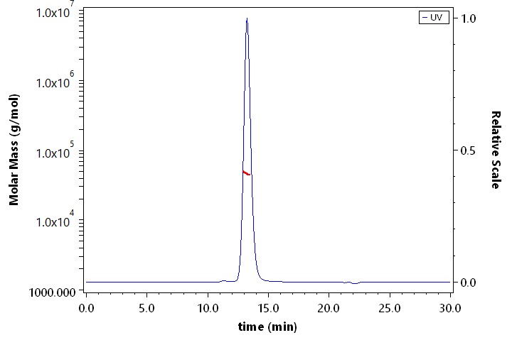 SIRP alphaV2 SEC-MALS