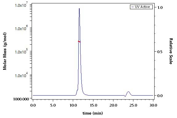 Siglec-2 SEC-MALS