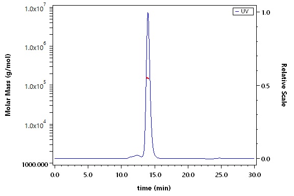 Siglec-7 SEC-MALS