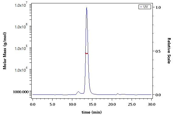 SIRP gamma SEC-MALS