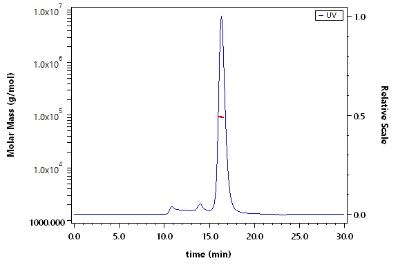 Sortilin SEC-MALS