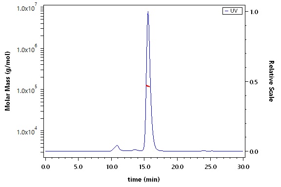 Spike RBD SEC-MALS