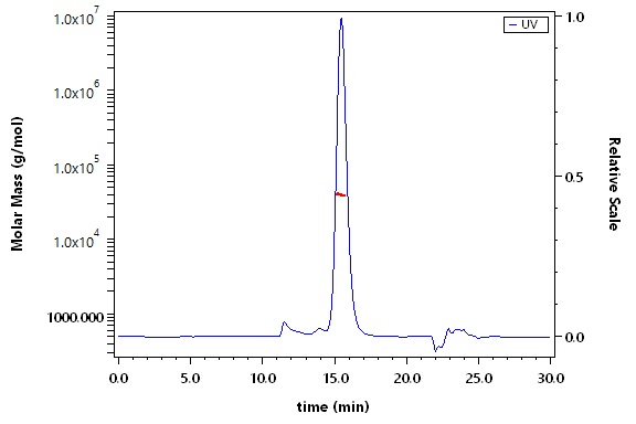 Spike RBD SEC-MALS