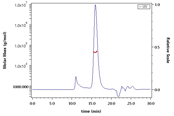 Spike RBD SEC-MALS