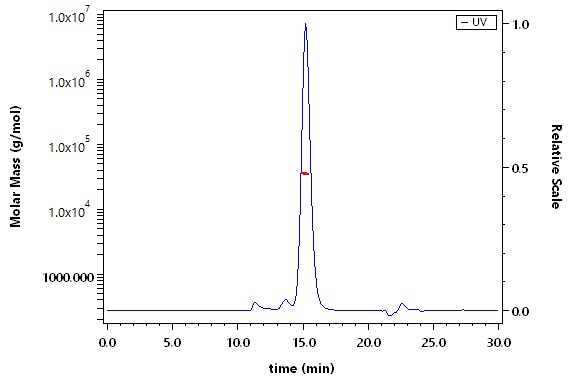 Spike RBD SEC-MALS