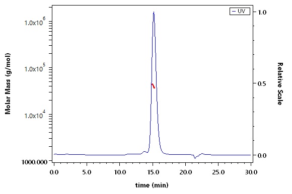 Spike RBD SEC-MALS