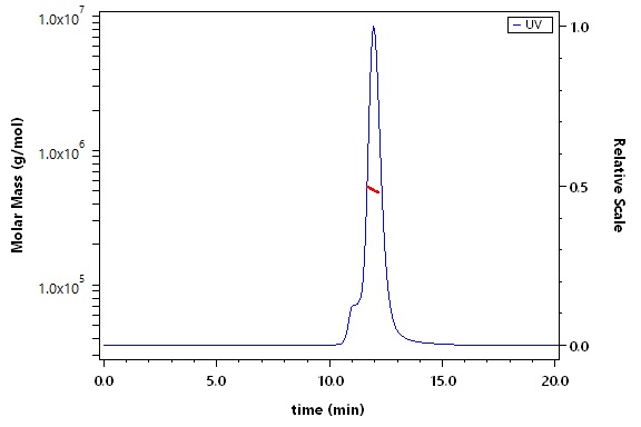 Spike protein SEC-MALS
