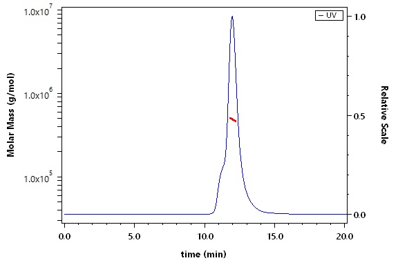 Spike protein SEC-MALS
