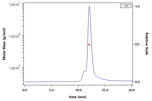 Spike protein SEC-MALS