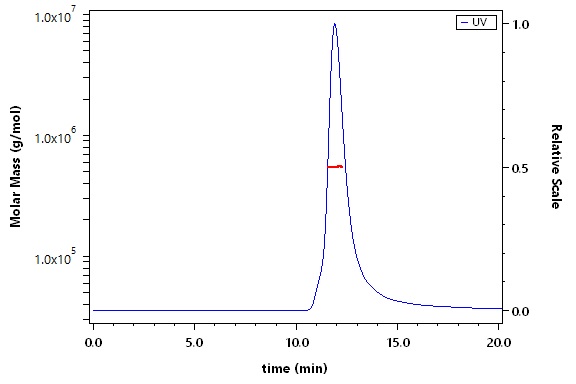 Spike protein SEC-MALS
