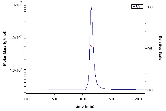 Spike protein SEC-MALS