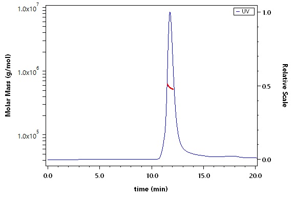 Spike protein SEC-MALS