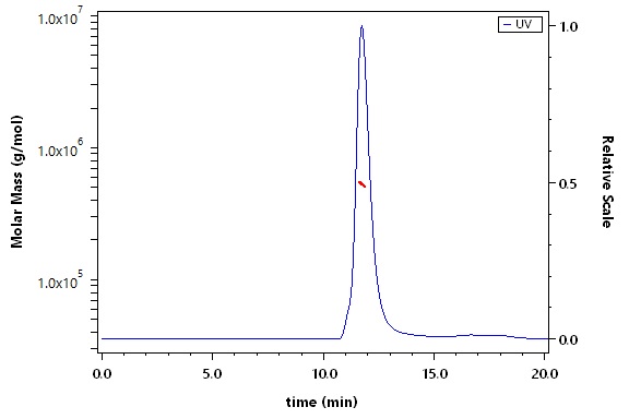 Spike protein SEC-MALS