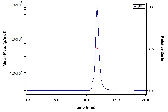Spike protein SEC-MALS