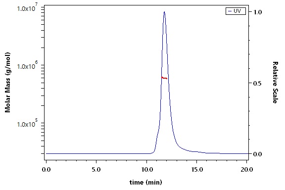 Spike protein SEC-MALS