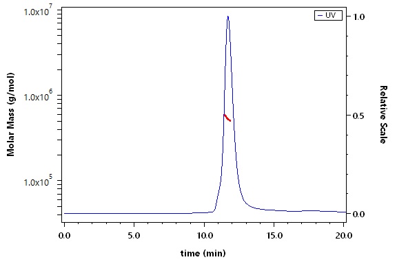 Spike protein SEC-MALS