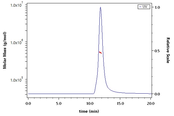 Spike protein SEC-MALS
