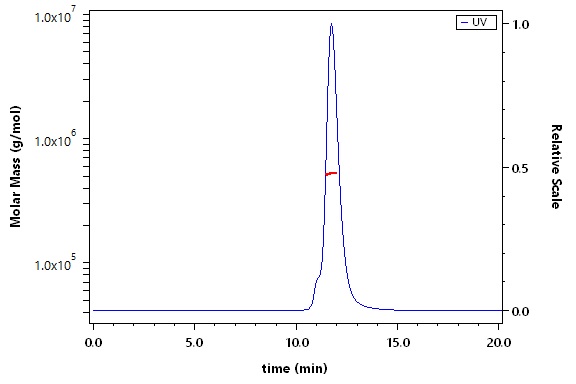 Spike protein SEC-MALS