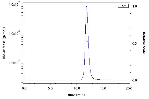 Spike protein SEC-MALS
