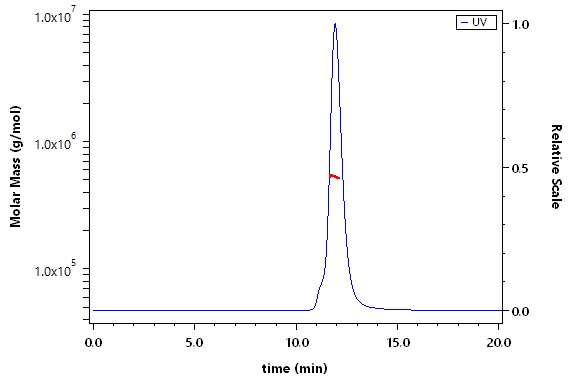 Spike protein SEC-MALS