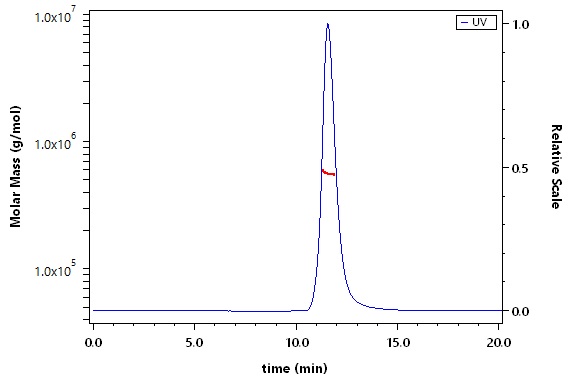 Spike protein SEC-MALS