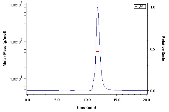 Spike protein SEC-MALS
