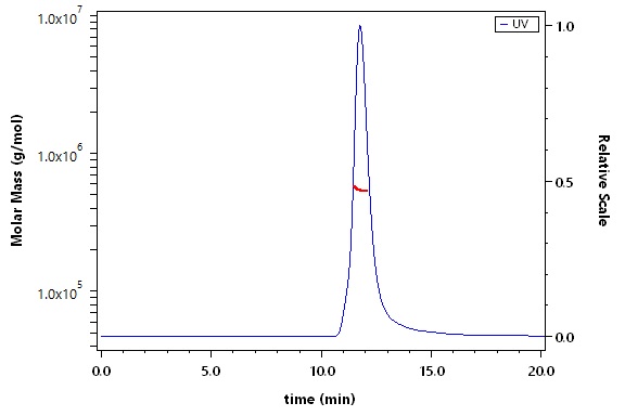 Spike protein SEC-MALS