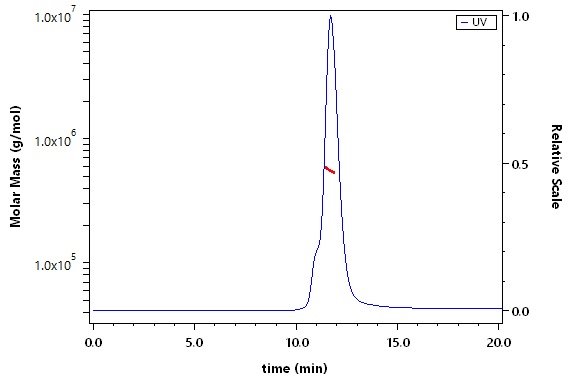 Spike protein SEC-MALS