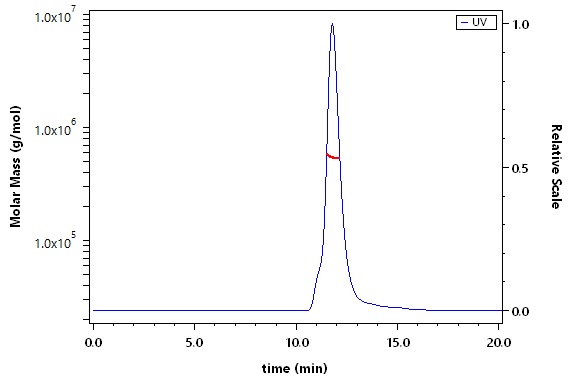 Spike protein SEC-MALS