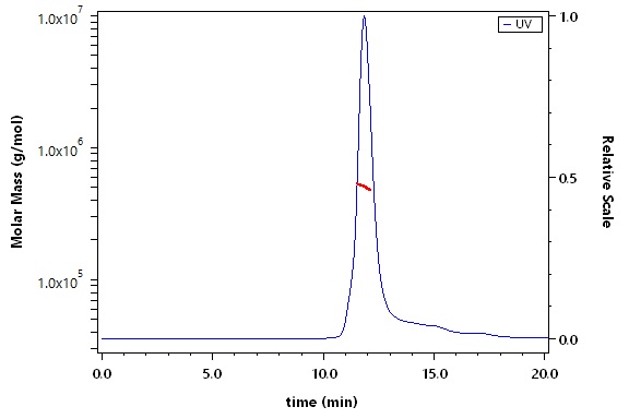 Spike protein SEC-MALS