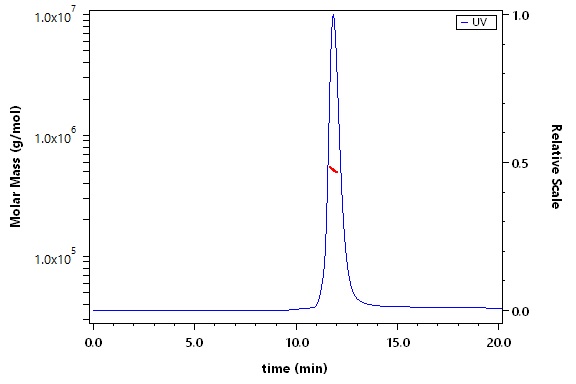 Spike protein SEC-MALS