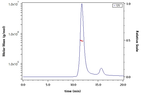 Spike protein SEC-MALS