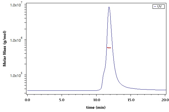 Spike protein SEC-MALS